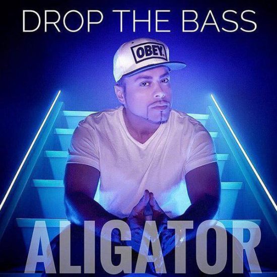آهنگ Dj Aligator Drop The Bass
